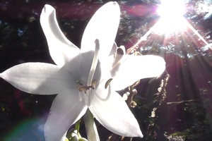 Screenshot from 2025-10-25 11-10-13